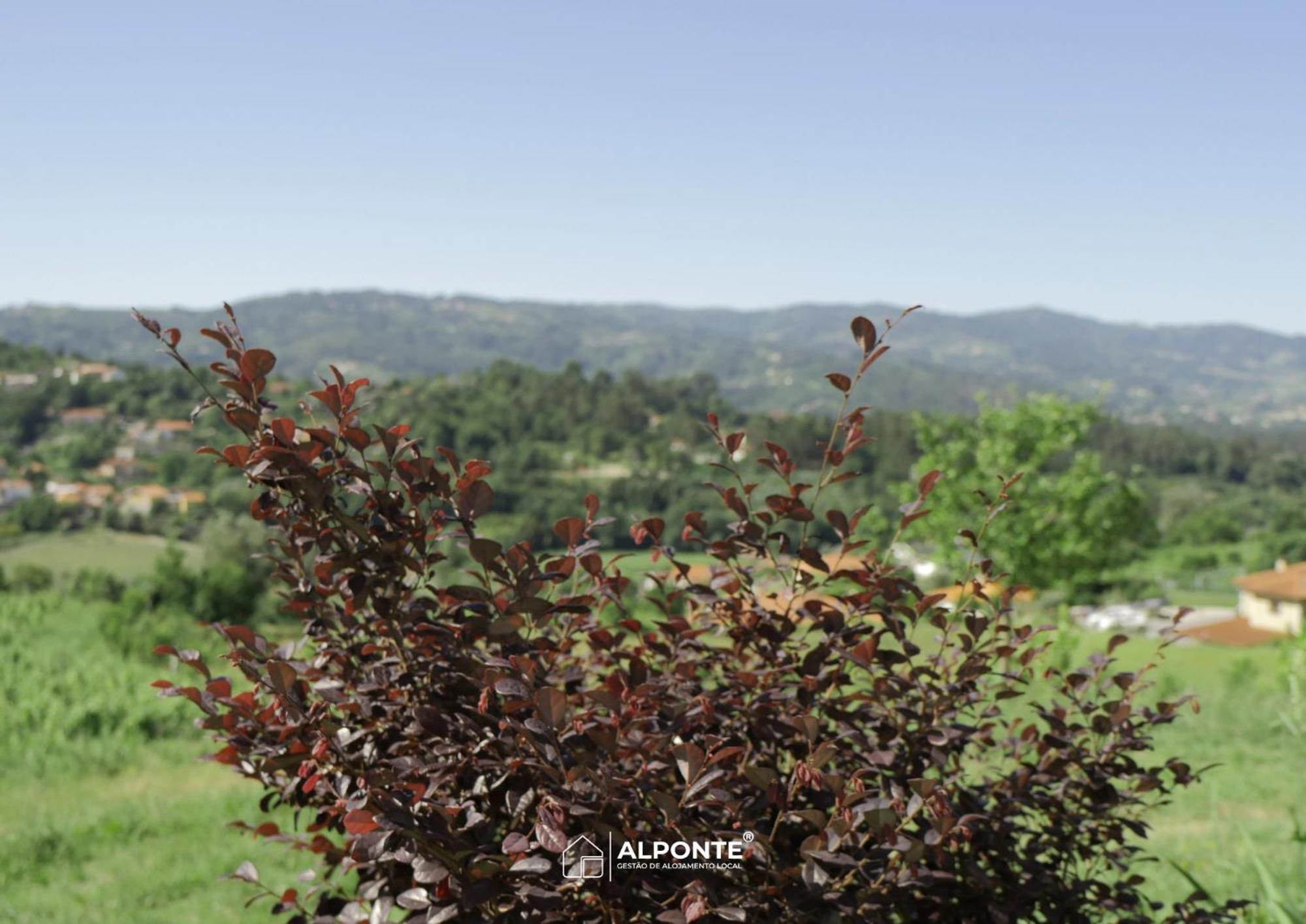 아르코스 데 발데베즈 Quinta Da Costeira - Casa Azul Do Limoal By Alponte 빌라 외부 사진